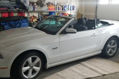 2014 Convertible Mustang GT