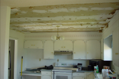 House Project - Phase 1